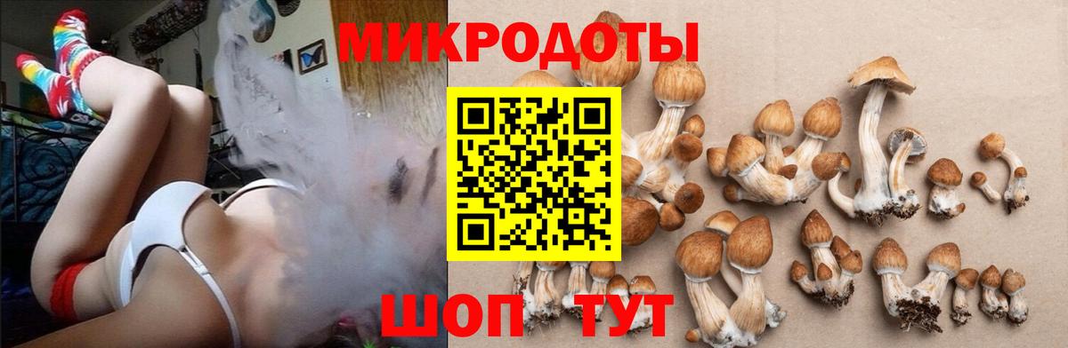 Волжск  Галлюциногенные грибы Psilocybe  Вход с VPN  Галлюциногенные грибы MAGIC MUSHROOMS 